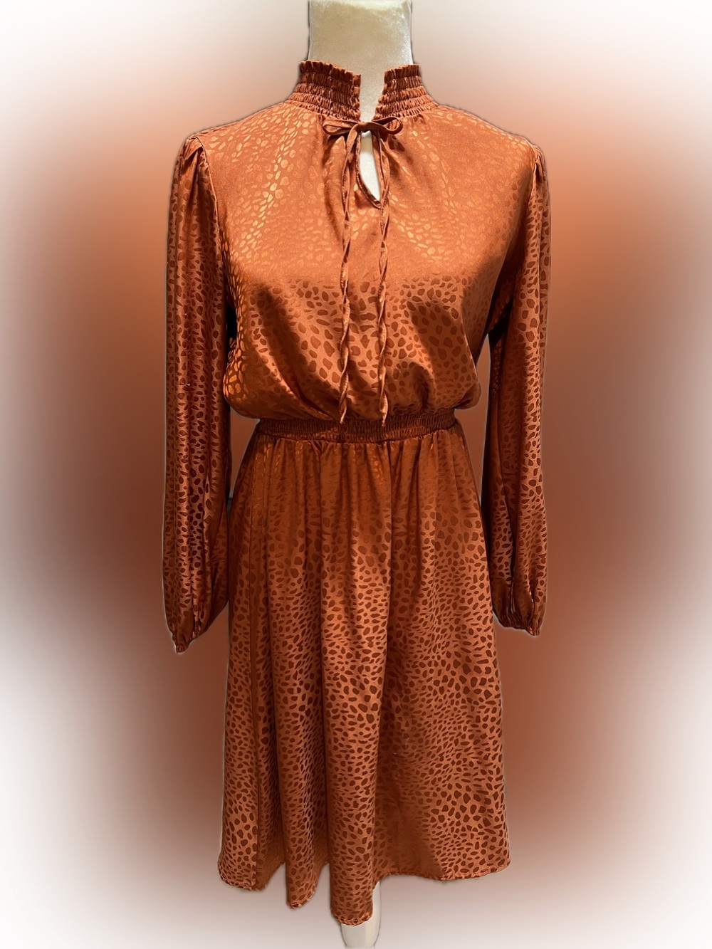 Burnt Orange Satin Long-Sleeve Smocked Waist Dress